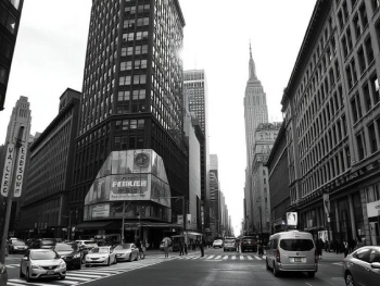 Black & White New York City